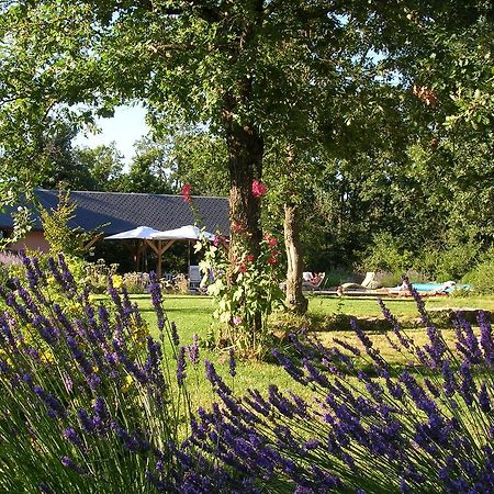 La Villa Des Pins Verrieres  外观 照片