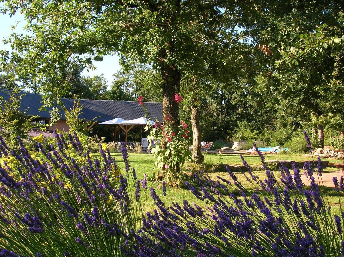 La Villa Des Pins Verrieres  外观 照片